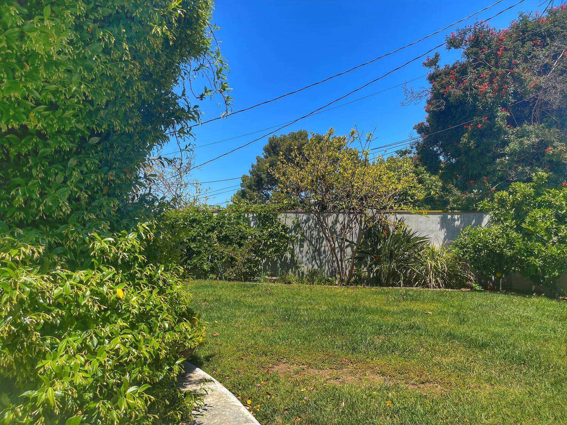 Outdoor areas 4