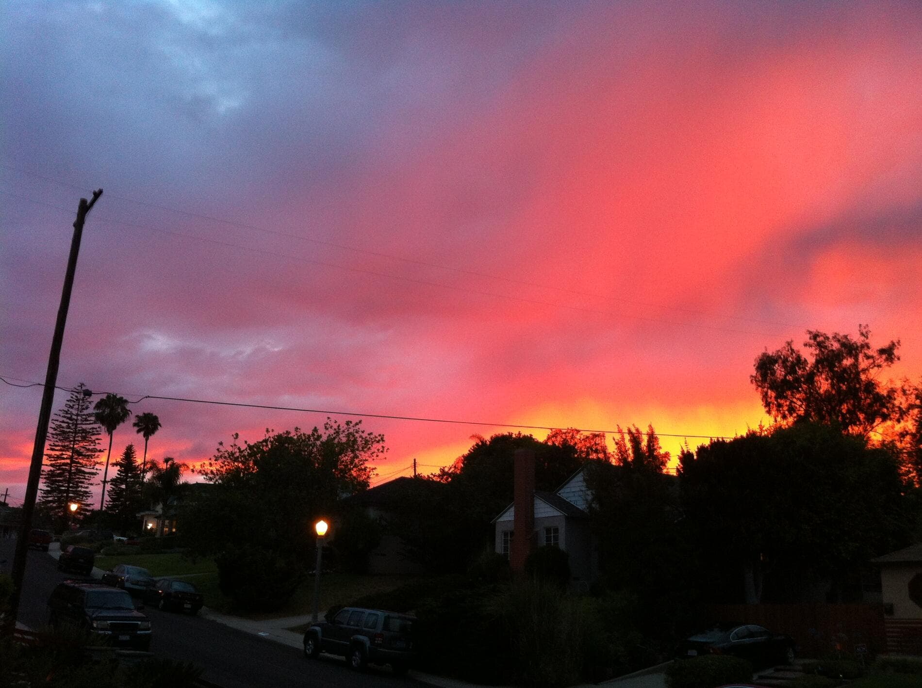 Venice Beach vs Santa Monica: Which to Visit?